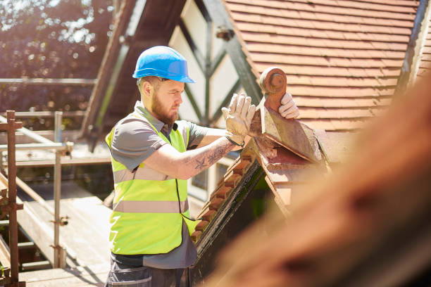 Roof Gutter Cleaning in Salix, PA